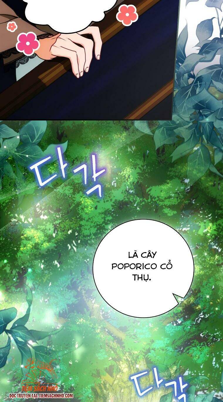 Đứa Bé Đó Không Phải Con Anh - Chương 14