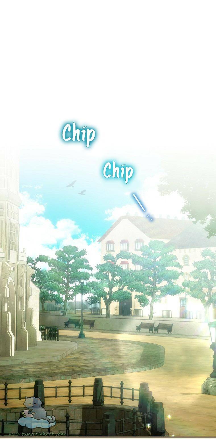 Đứa Bé Đó Không Phải Con Anh - Chương 16