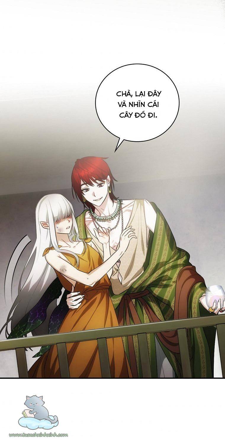 Đứa Bé Đó Không Phải Con Anh - Chương 16