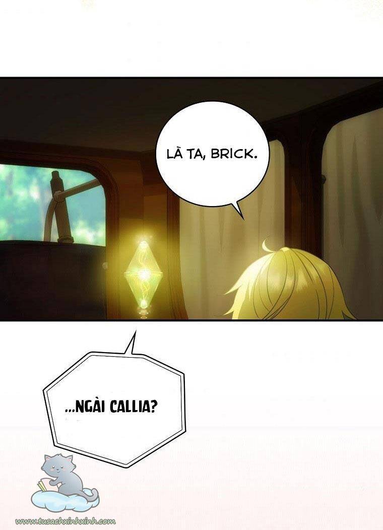 Đứa Bé Đó Không Phải Con Anh - Chương 17