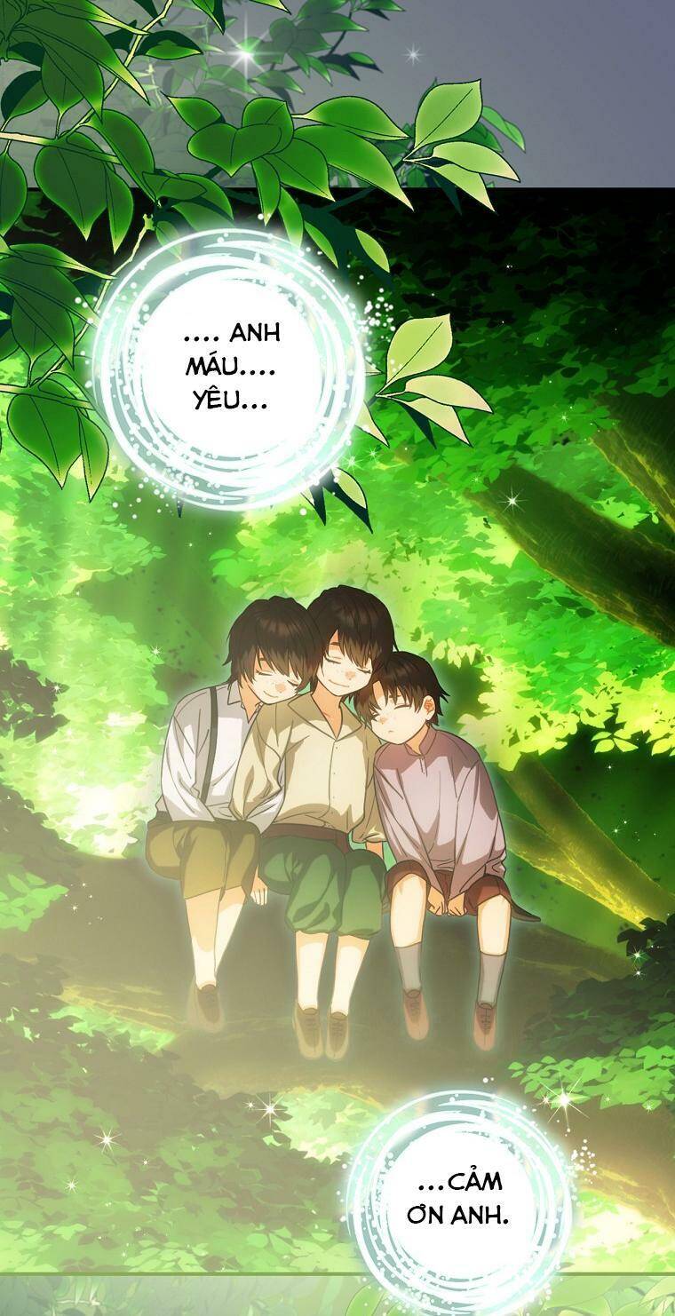 Đứa Bé Đó Không Phải Con Anh - Chương 19