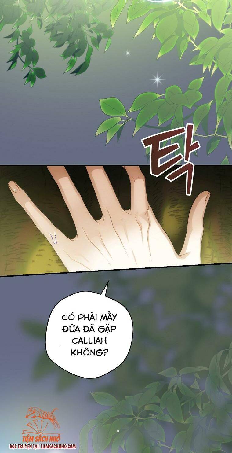 Đứa Bé Đó Không Phải Con Anh - Chương 19