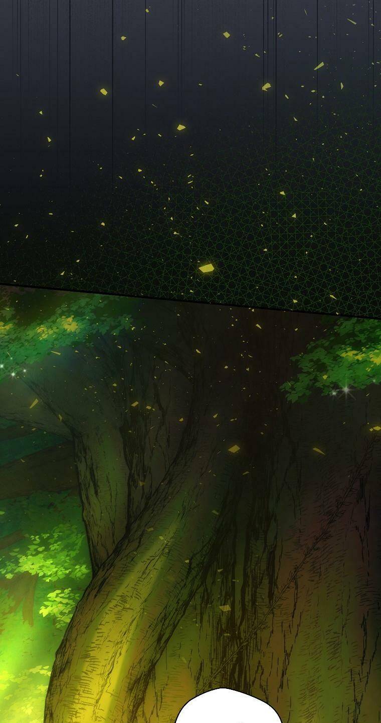 Đứa Bé Đó Không Phải Con Anh - Chương 19