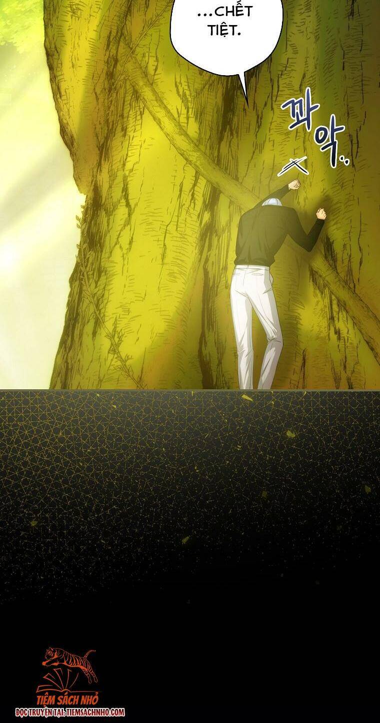 Đứa Bé Đó Không Phải Con Anh - Chương 19