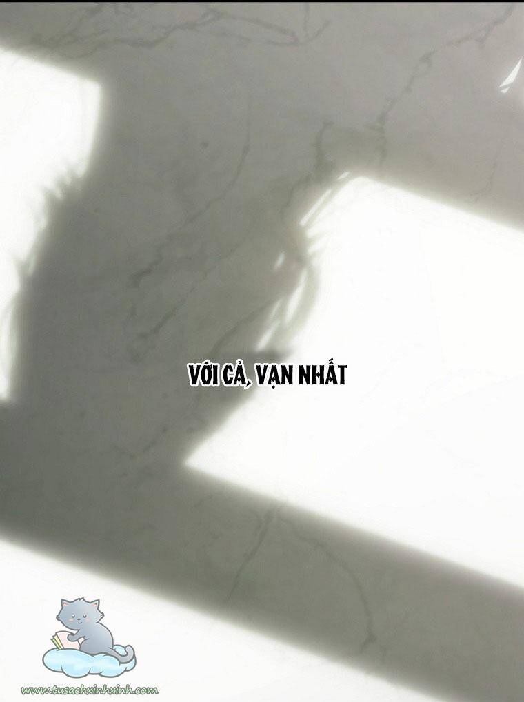 Đứa Bé Đó Không Phải Con Anh - Chương 2