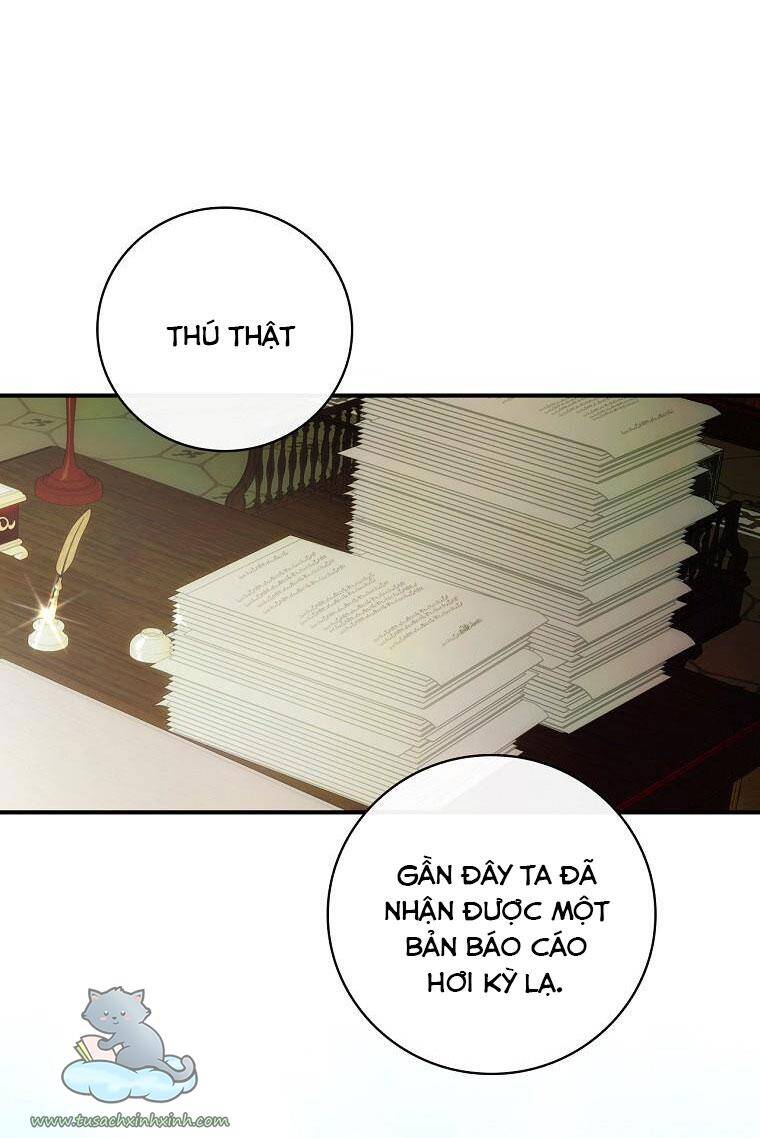 Đứa Bé Đó Không Phải Con Anh - Chương 20