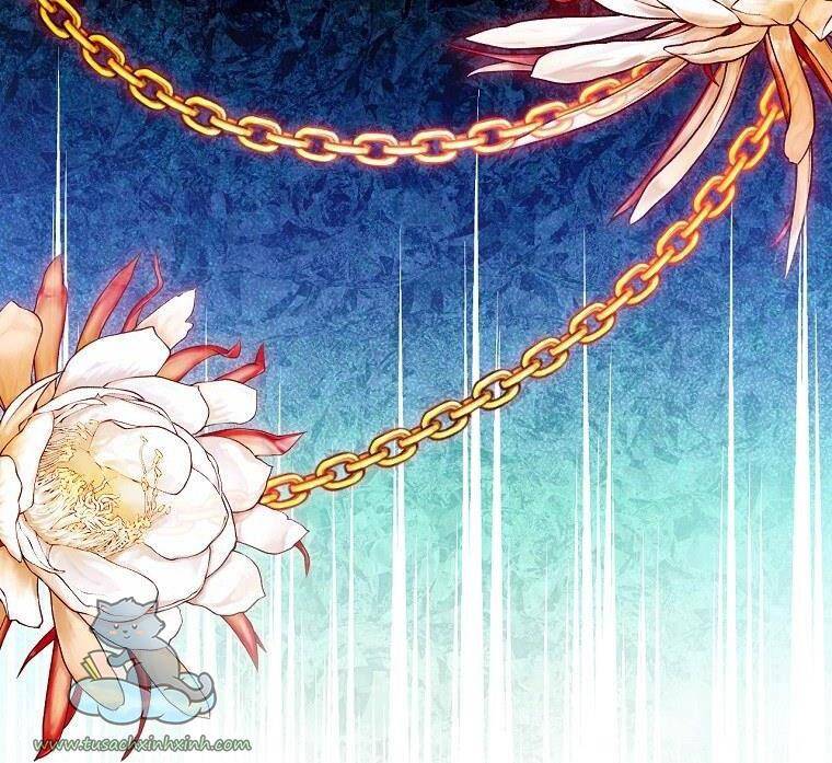 Đứa Bé Đó Không Phải Con Anh - Chương 20