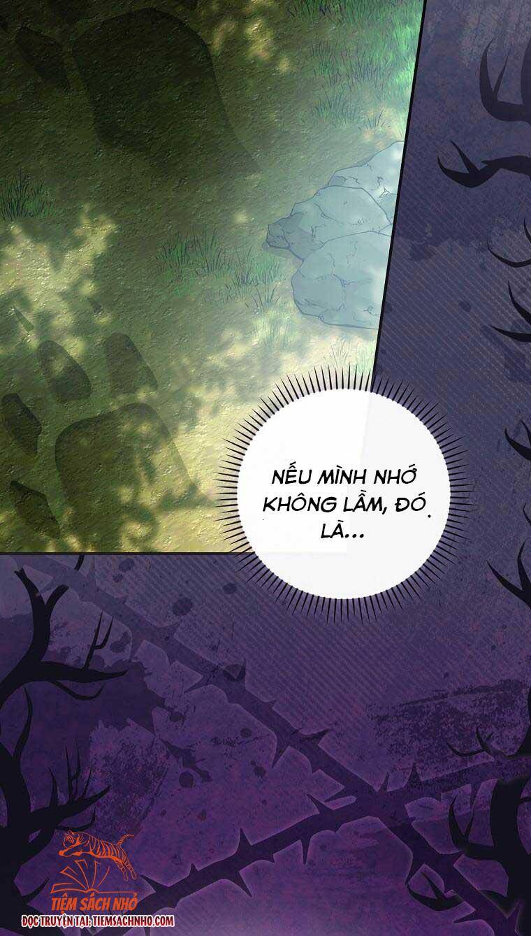 Đứa Bé Đó Không Phải Con Anh - Chương 27