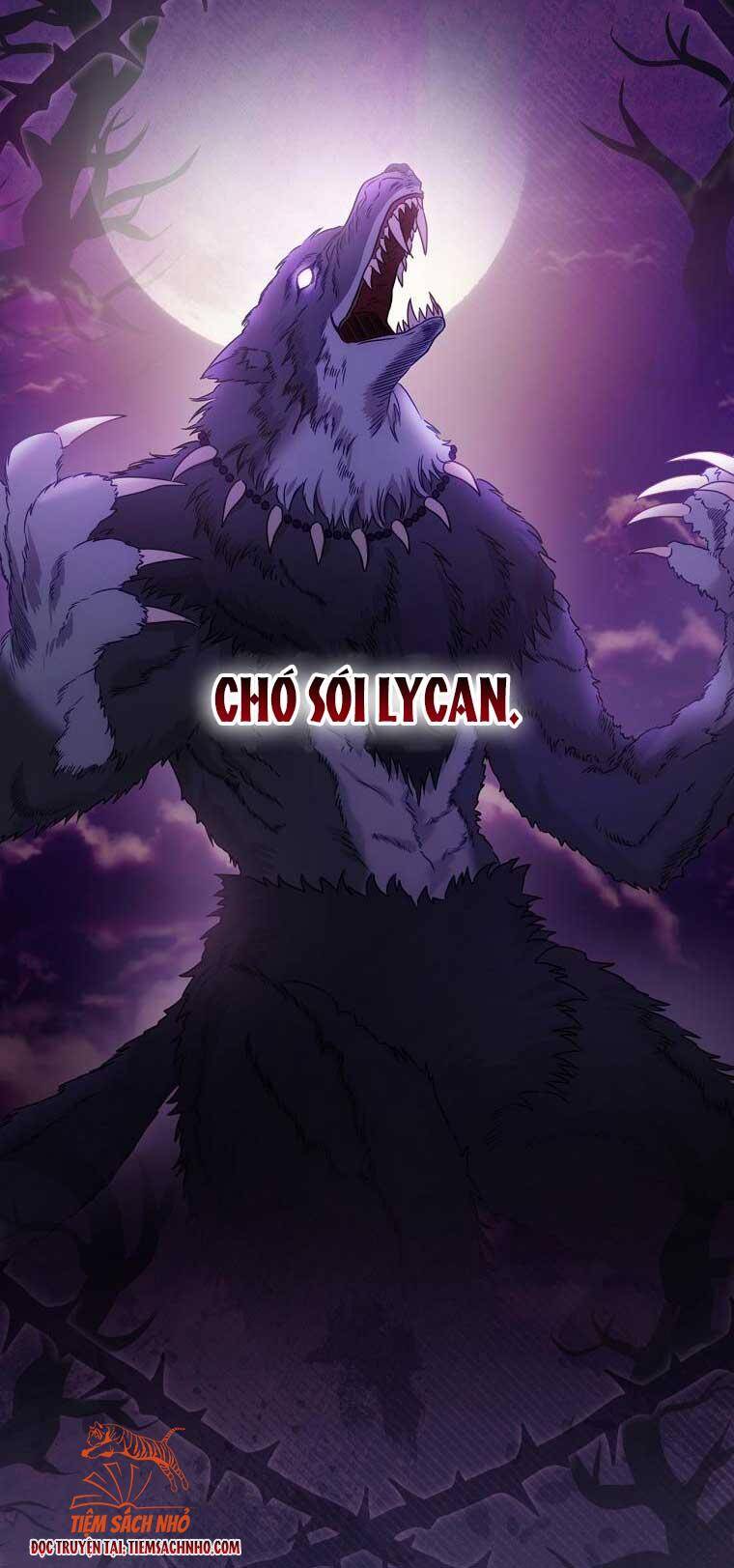 Đứa Bé Đó Không Phải Con Anh - Chương 27