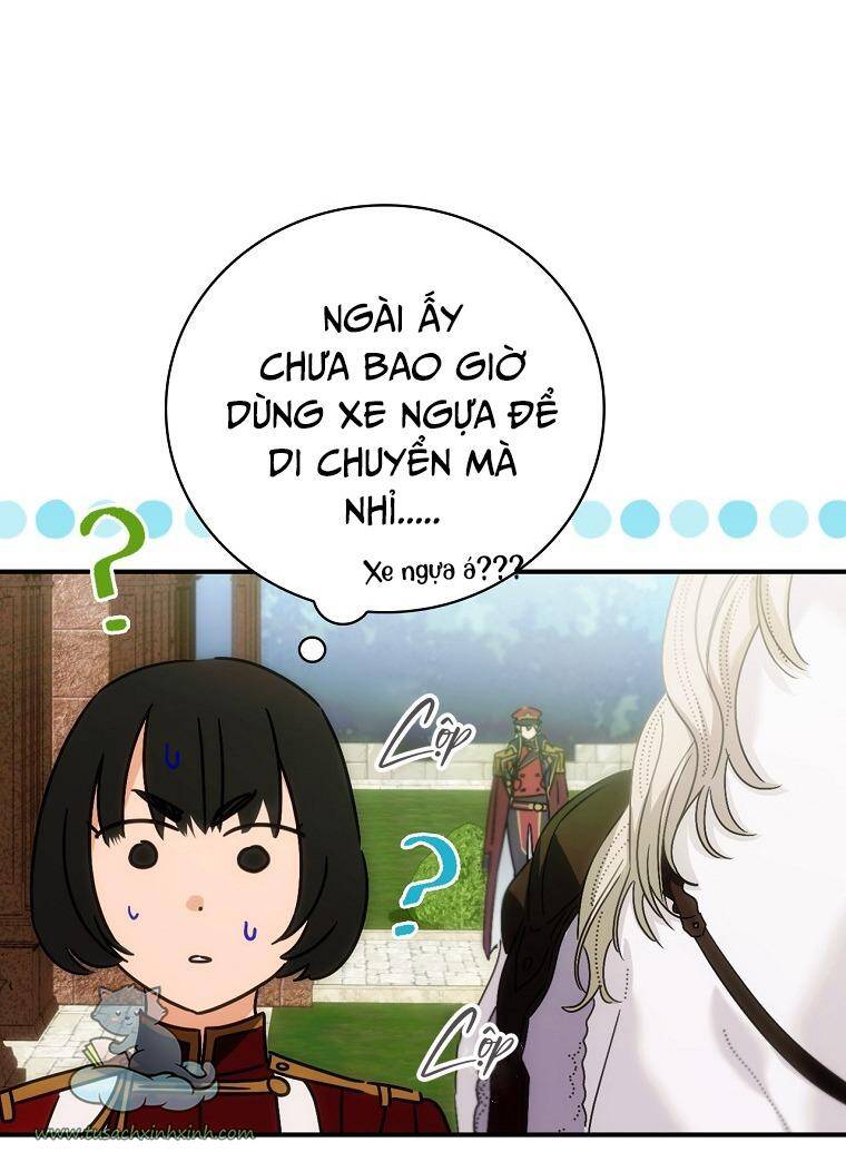 Đứa Bé Đó Không Phải Con Anh - Chương 3