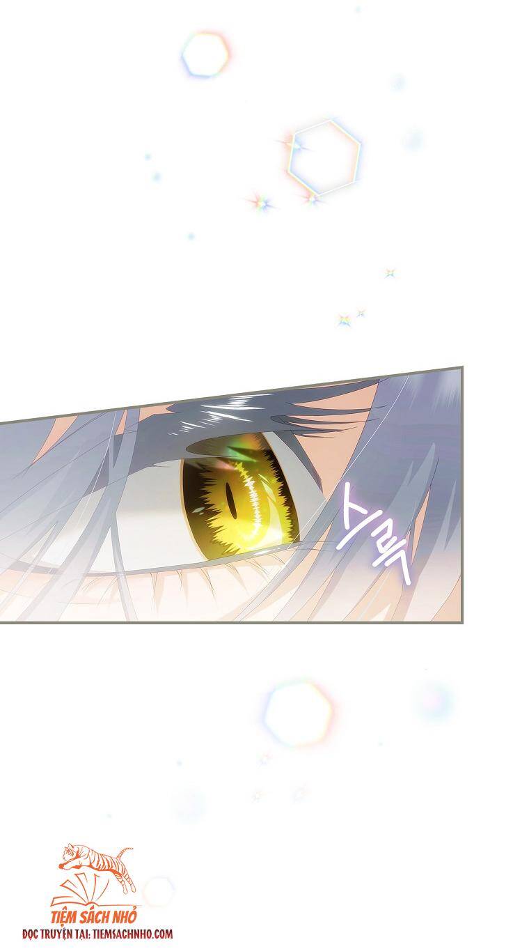 Đứa Bé Đó Không Phải Con Anh - Chương 25