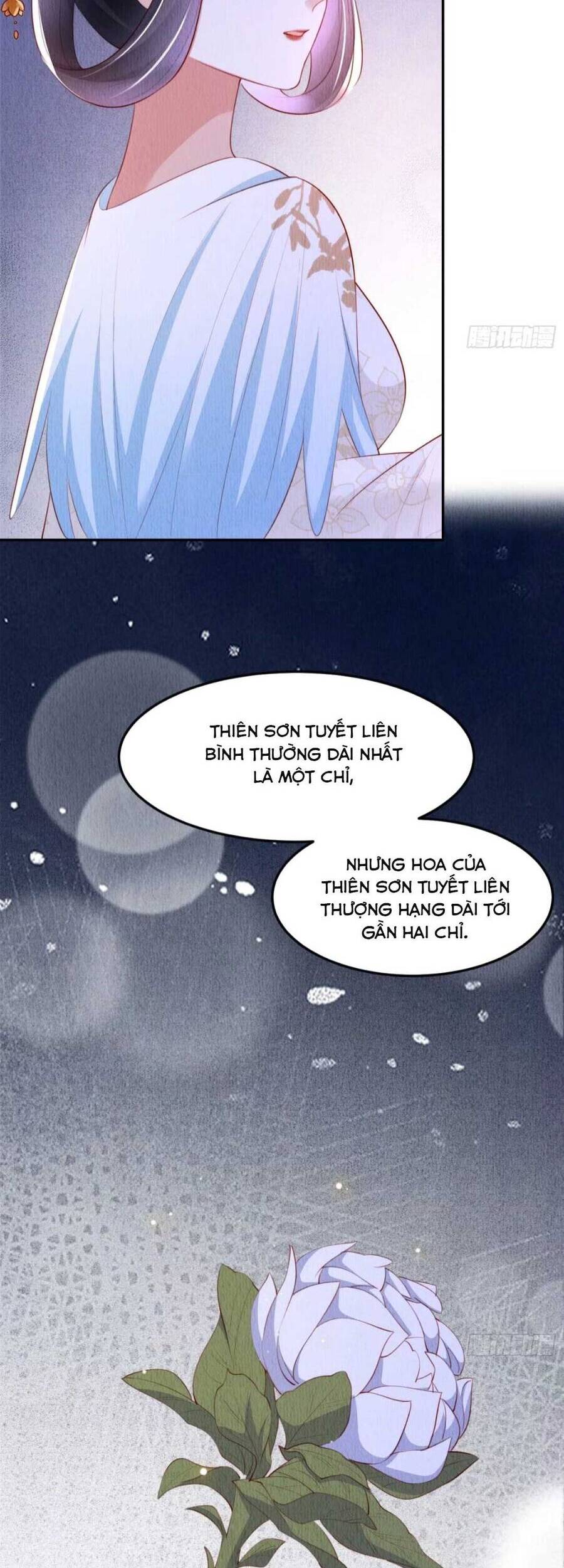 Vì Ta Trăm Hoa Cũng Phải Úa Tàn - Chương 24