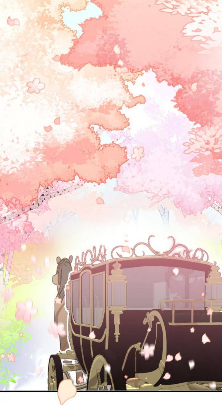 Bước Tới Con Đường Hoa - Chương 1