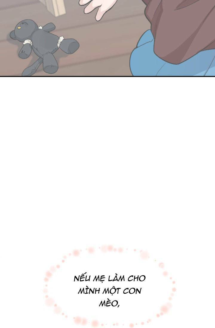 Bước Tới Con Đường Hoa - Chương 4