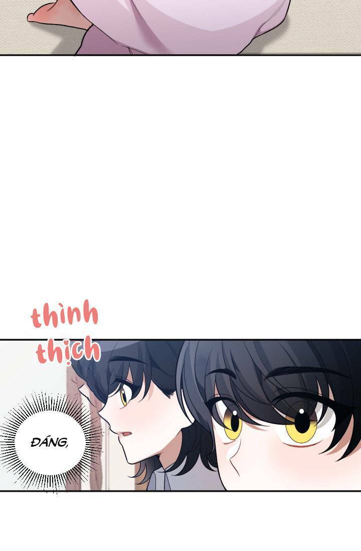 Bước Tới Con Đường Hoa - Chương 8