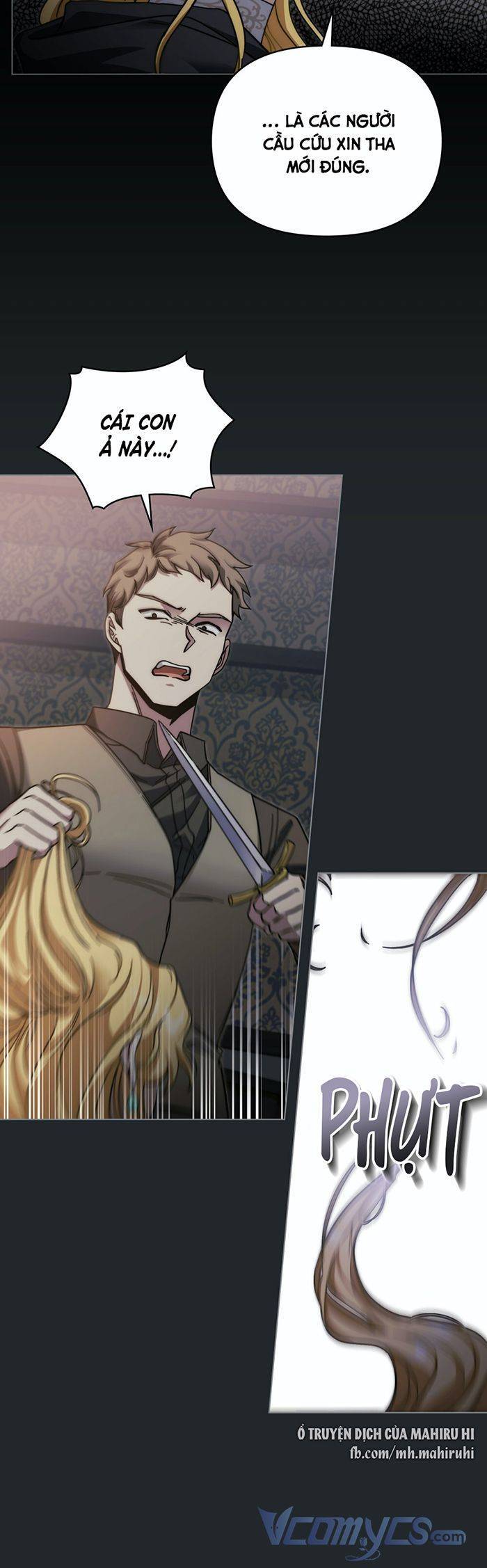 Tìm Lại Camellia - Chương 48