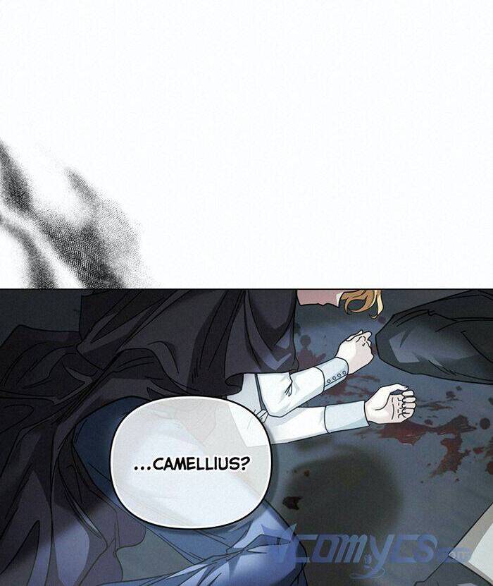 Tìm Lại Camellia - Chương 49