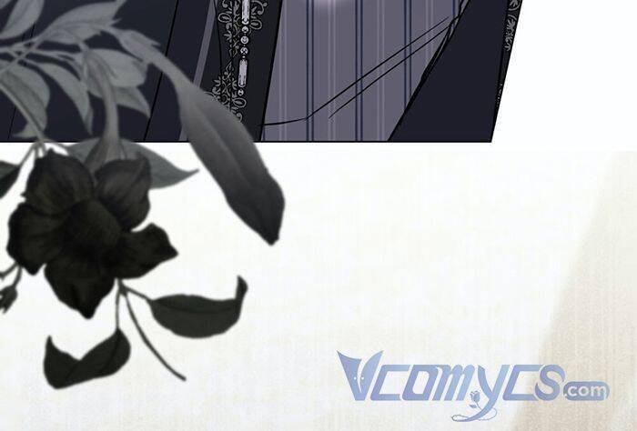 Tìm Lại Camellia - Chương 50