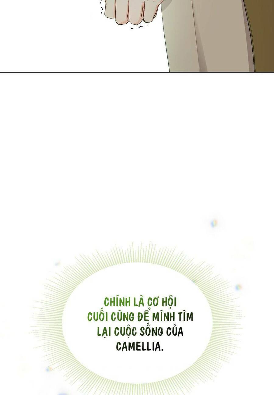 Tìm Lại Camellia - Chương 10