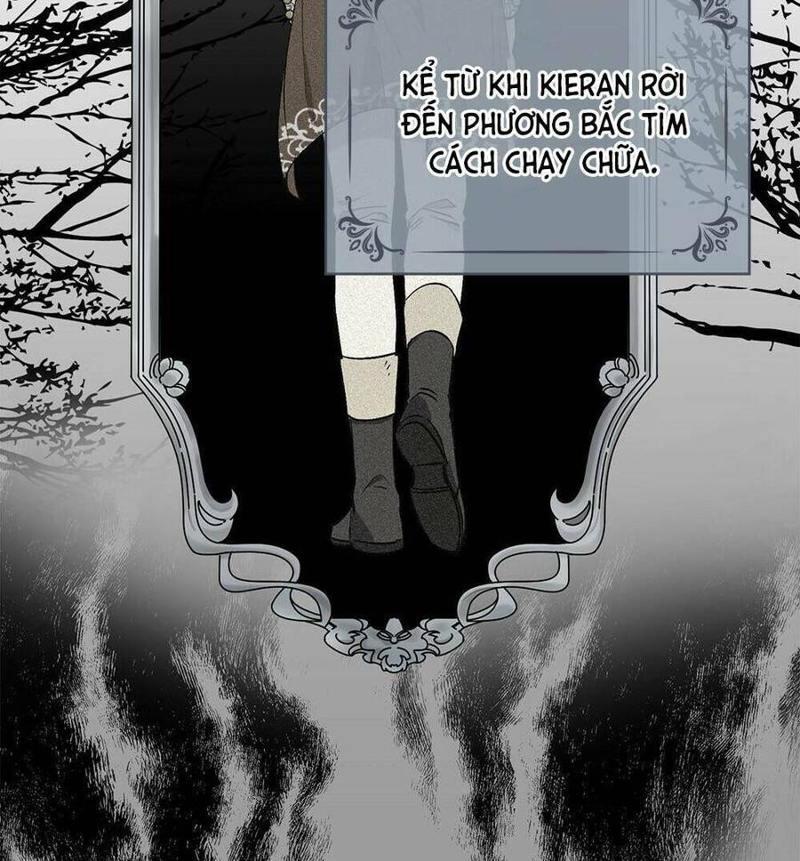 Tìm Lại Camellia - Chương 10