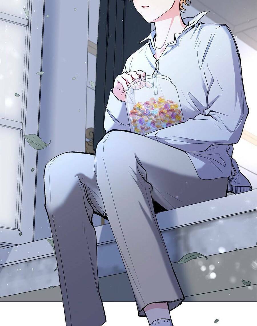 Tìm Lại Camellia - Chương 14