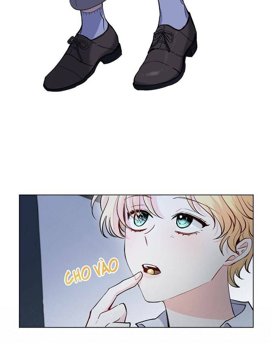 Tìm Lại Camellia - Chương 14