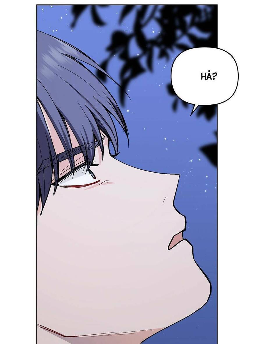 Tìm Lại Camellia - Chương 14