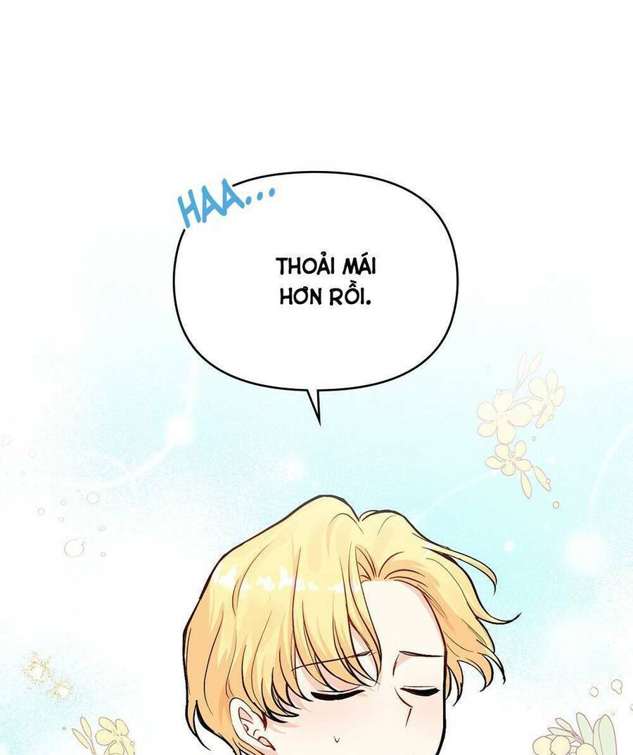 Tìm Lại Camellia - Chương 14