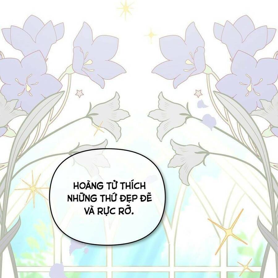 Tìm Lại Camellia - Chương 15