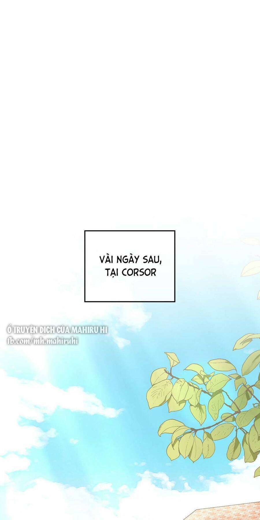 Tìm Lại Camellia - Chương 16