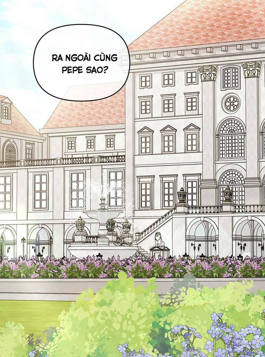 Tìm Lại Camellia - Chương 16