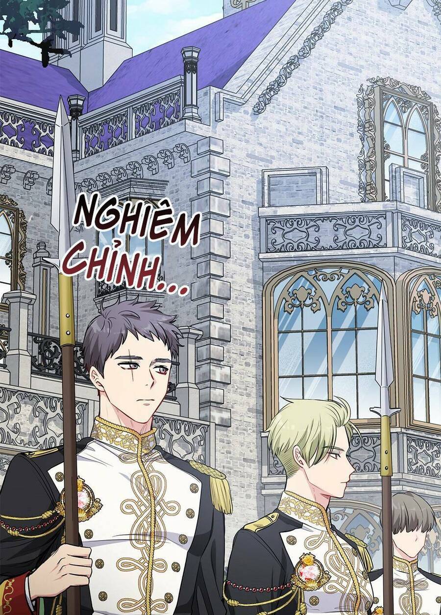 Tìm Lại Camellia - Chương 16