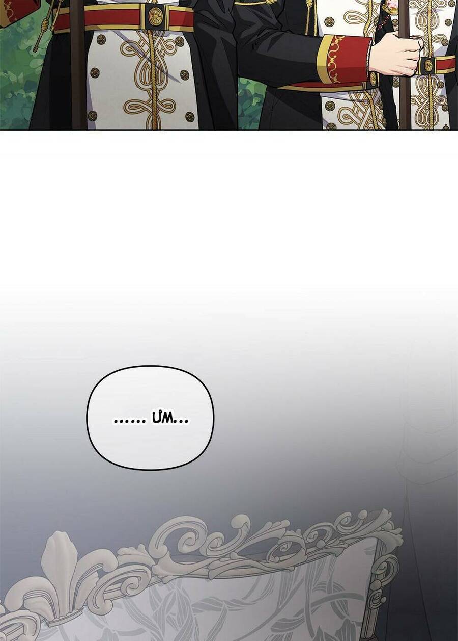 Tìm Lại Camellia - Chương 16