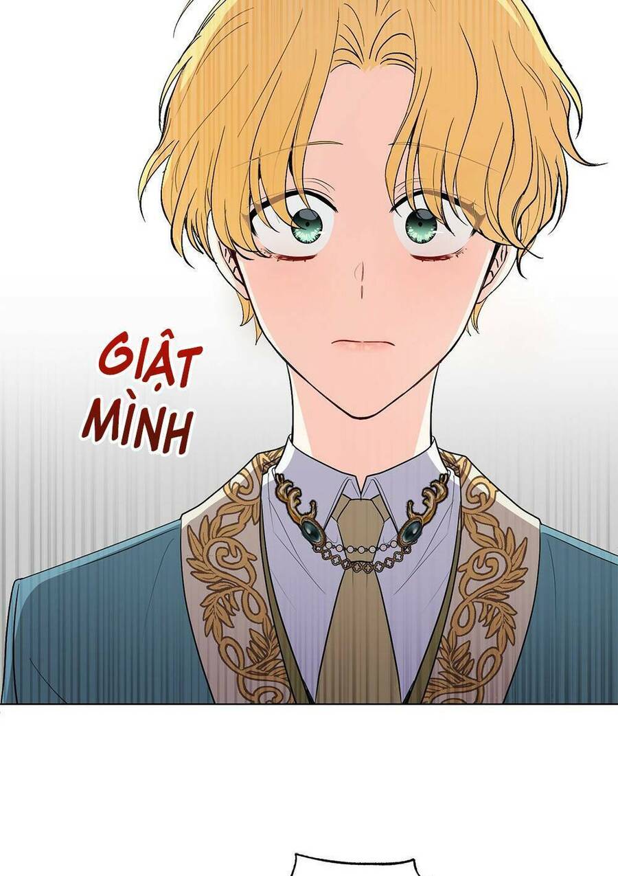 Tìm Lại Camellia - Chương 17