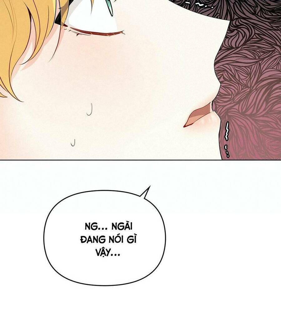 Tìm Lại Camellia - Chương 17