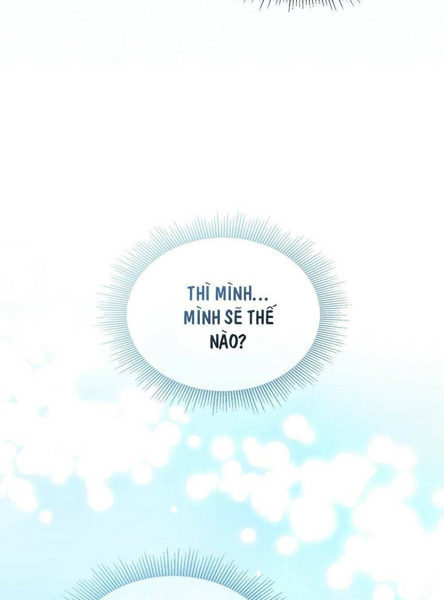 Tìm Lại Camellia - Chương 17