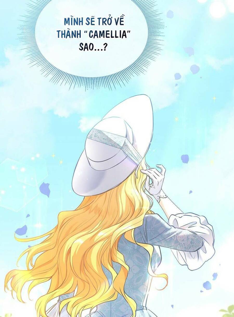 Tìm Lại Camellia - Chương 17