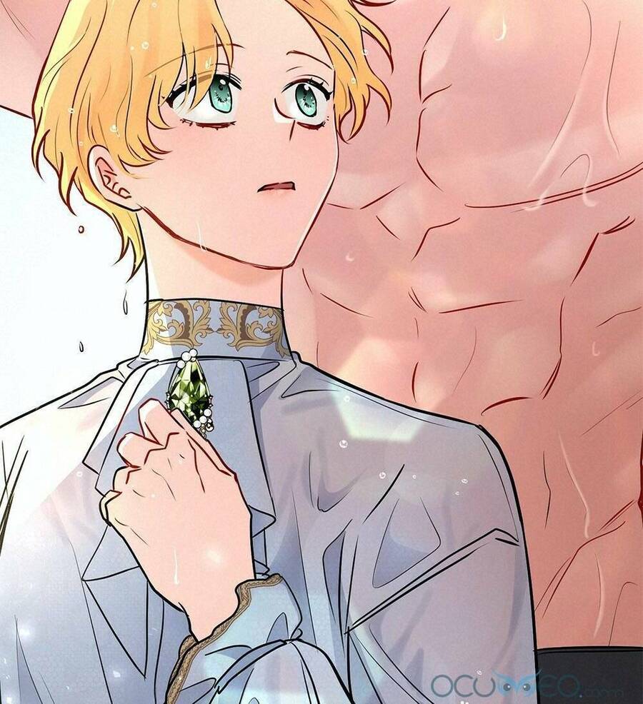 Tìm Lại Camellia - Chương 19