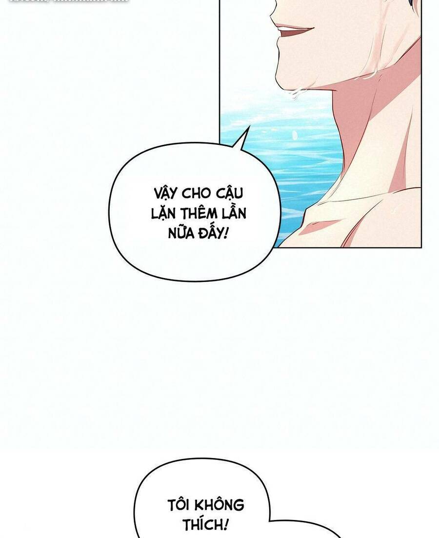 Tìm Lại Camellia - Chương 19