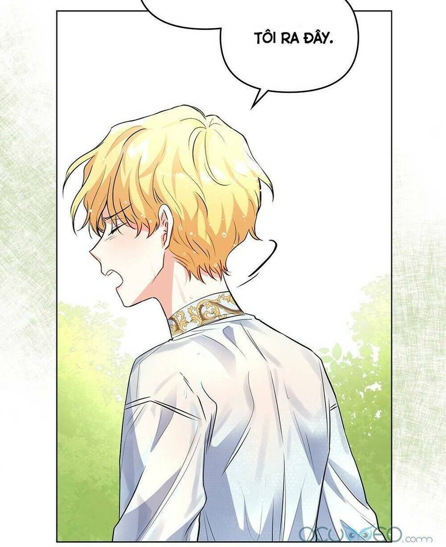 Tìm Lại Camellia - Chương 19