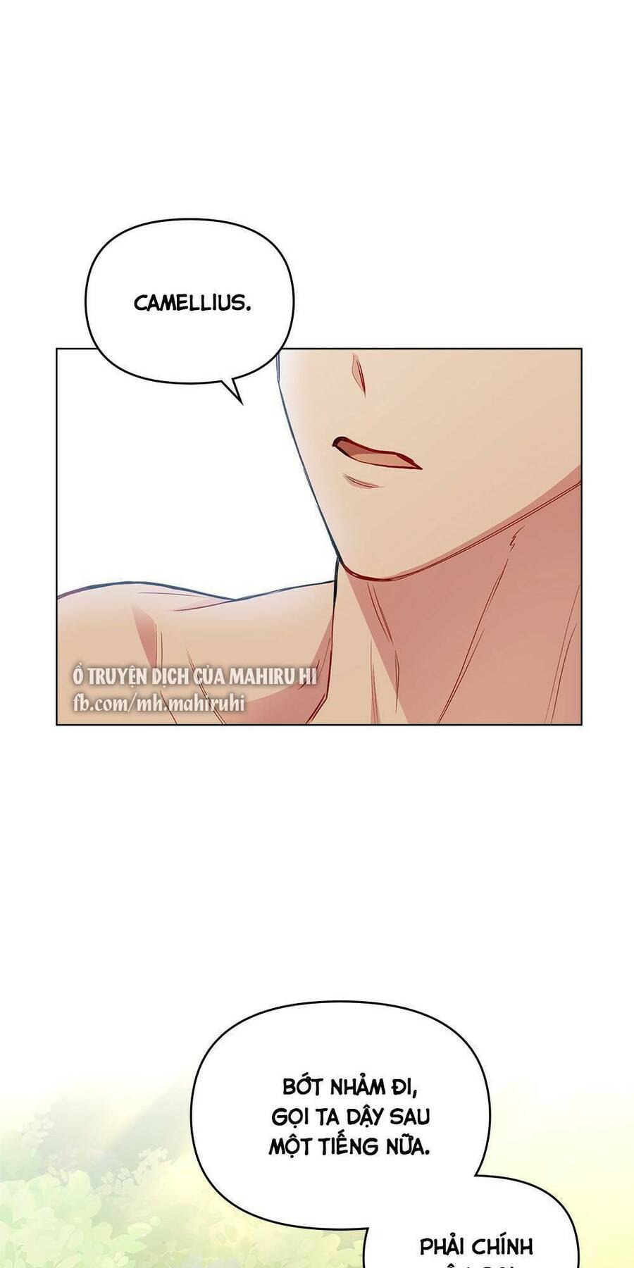 Tìm Lại Camellia - Chương 19