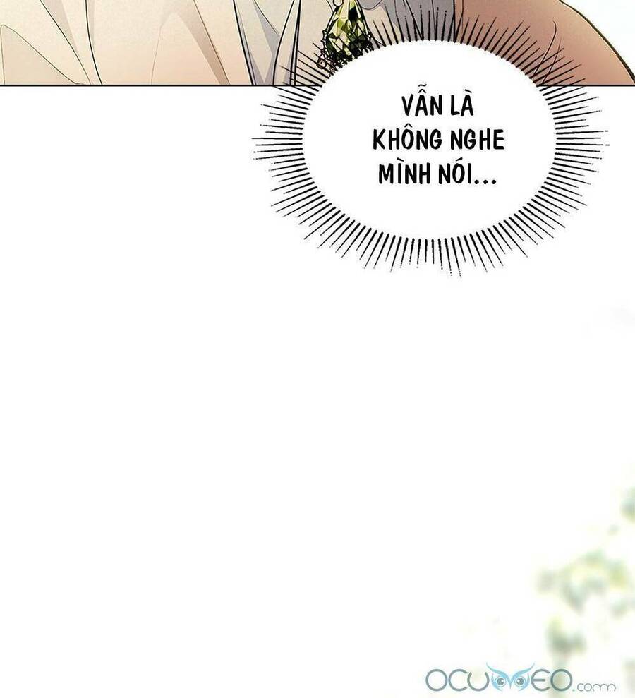 Tìm Lại Camellia - Chương 19