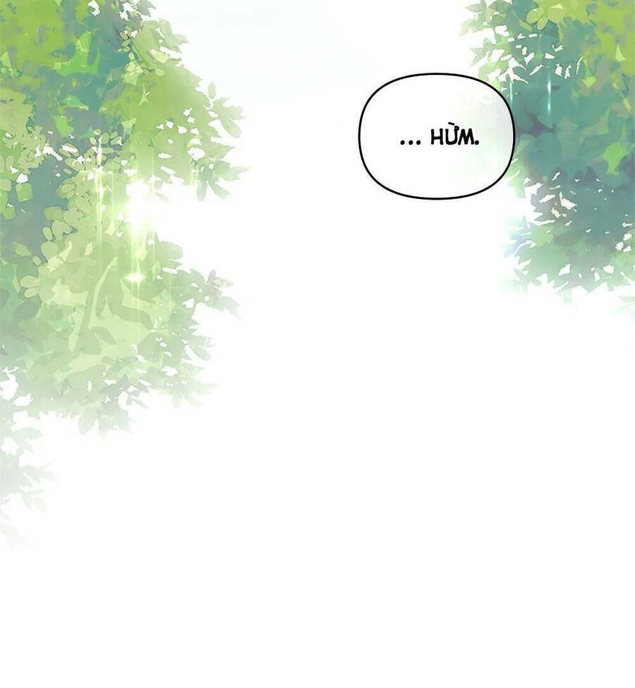 Tìm Lại Camellia - Chương 19