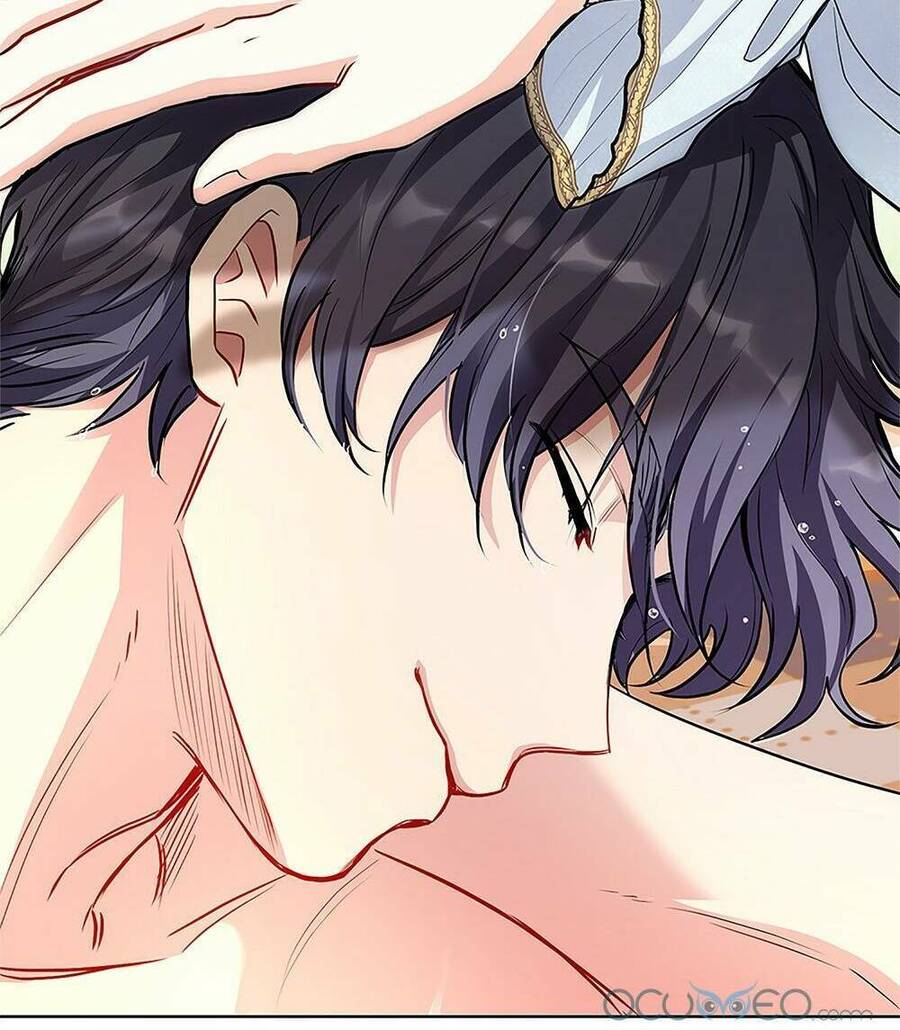 Tìm Lại Camellia - Chương 19