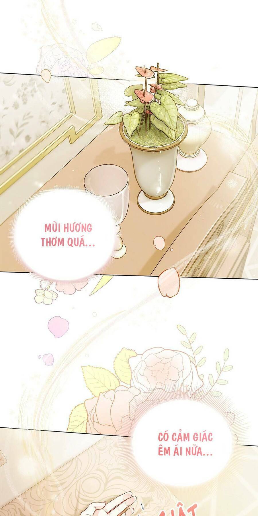 Tìm Lại Camellia - Chương 2