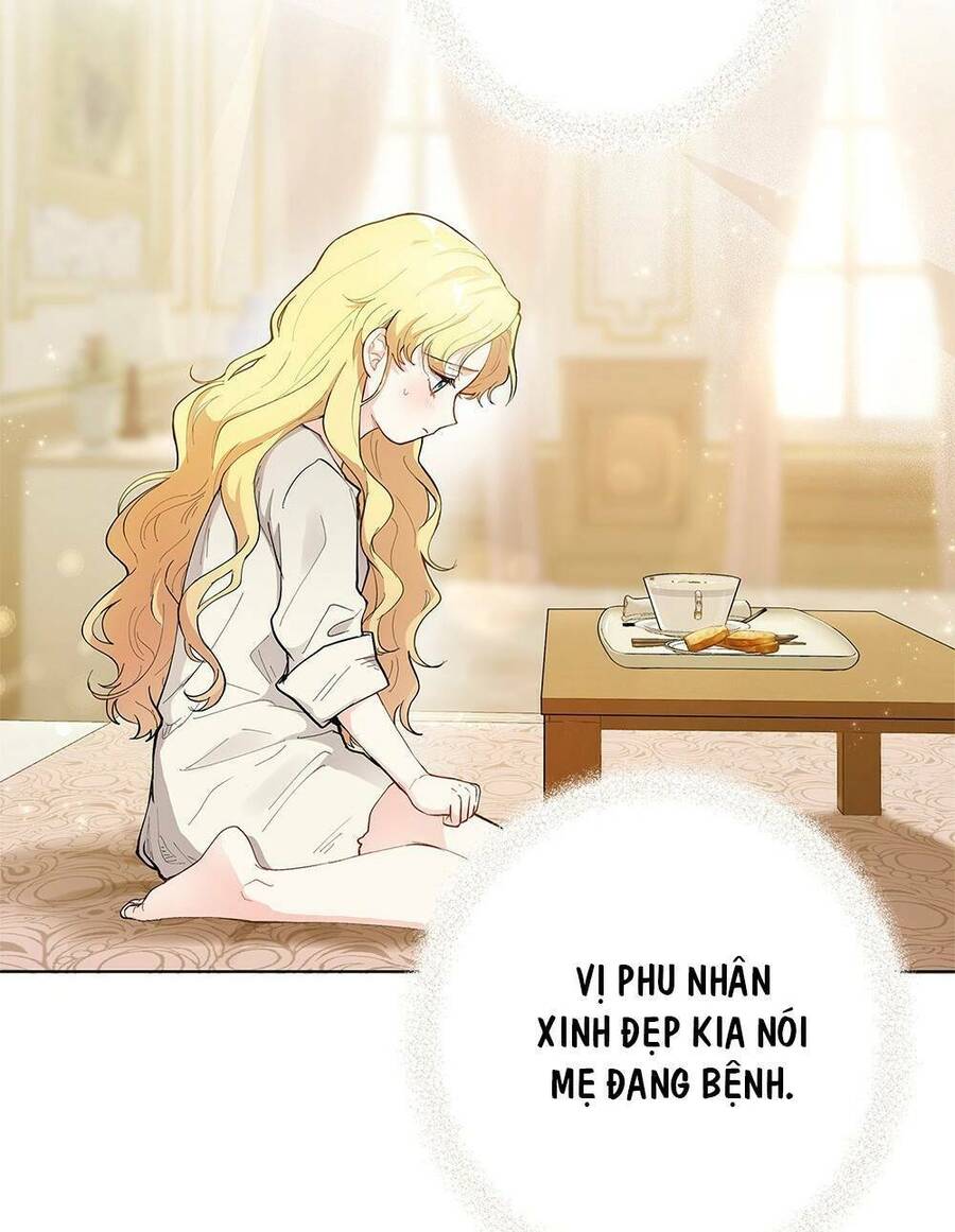 Tìm Lại Camellia - Chương 2