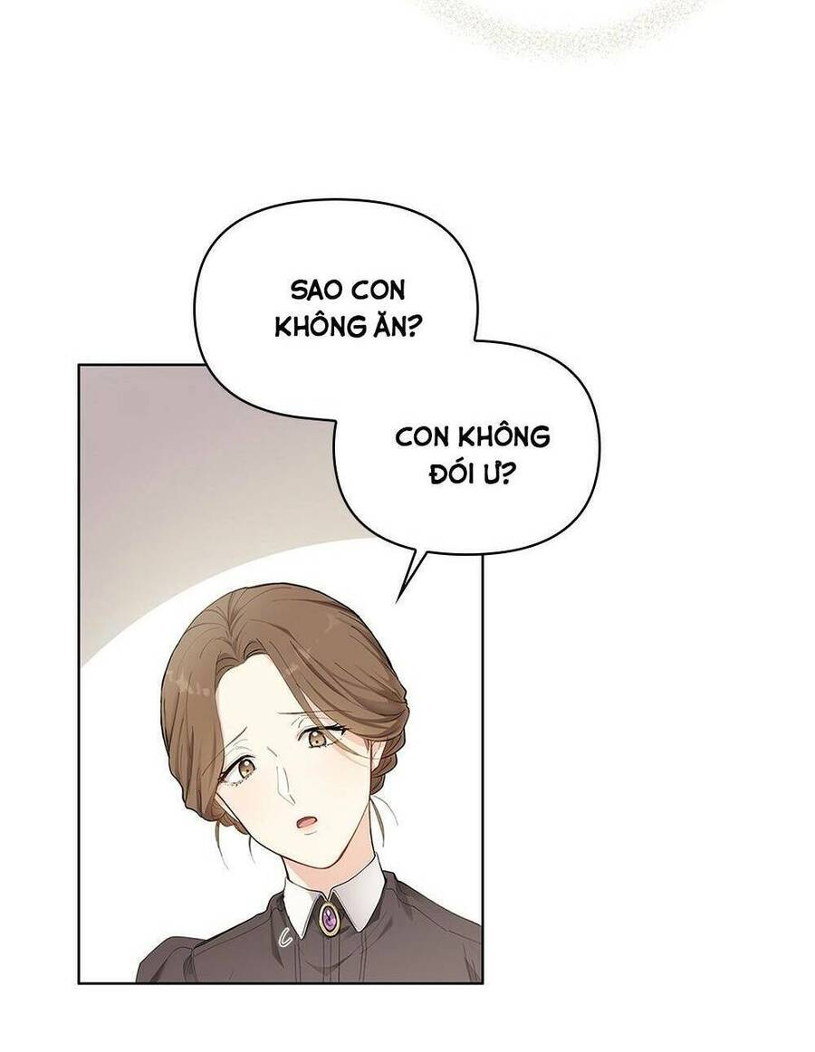 Tìm Lại Camellia - Chương 2