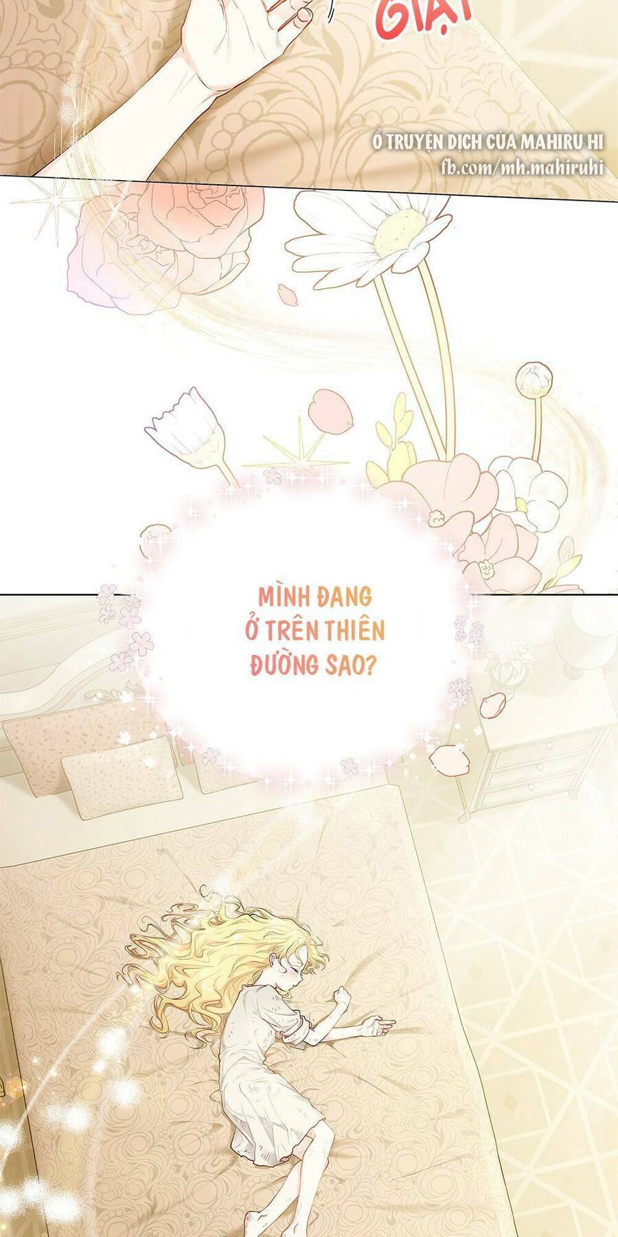 Tìm Lại Camellia - Chương 2