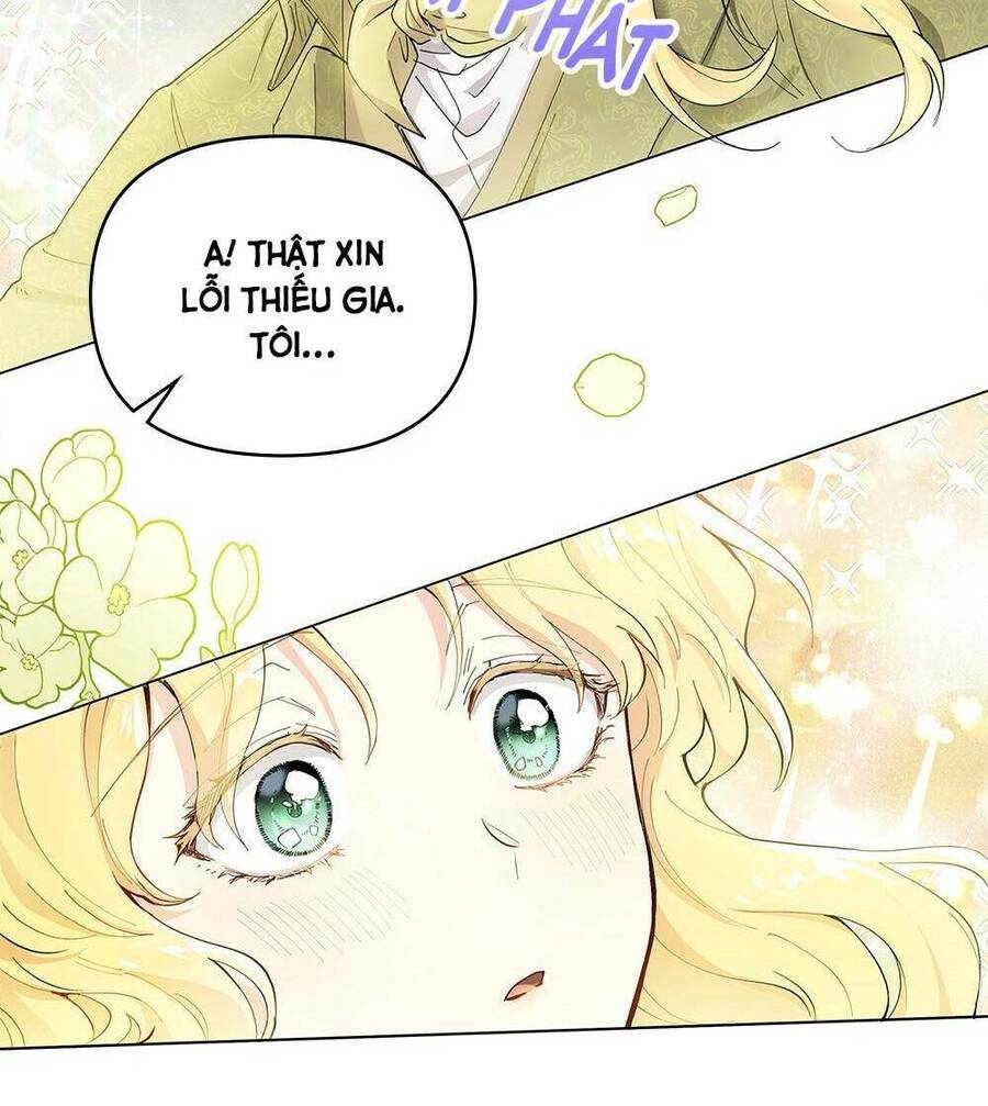 Tìm Lại Camellia - Chương 2