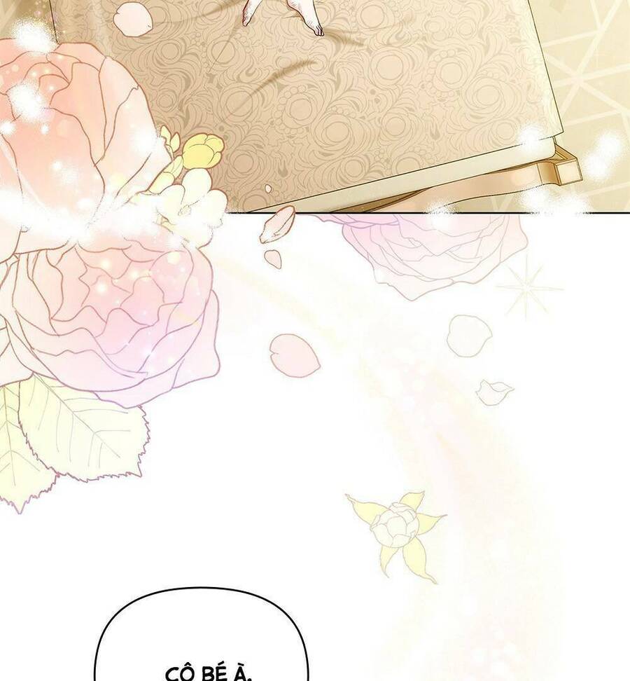 Tìm Lại Camellia - Chương 2